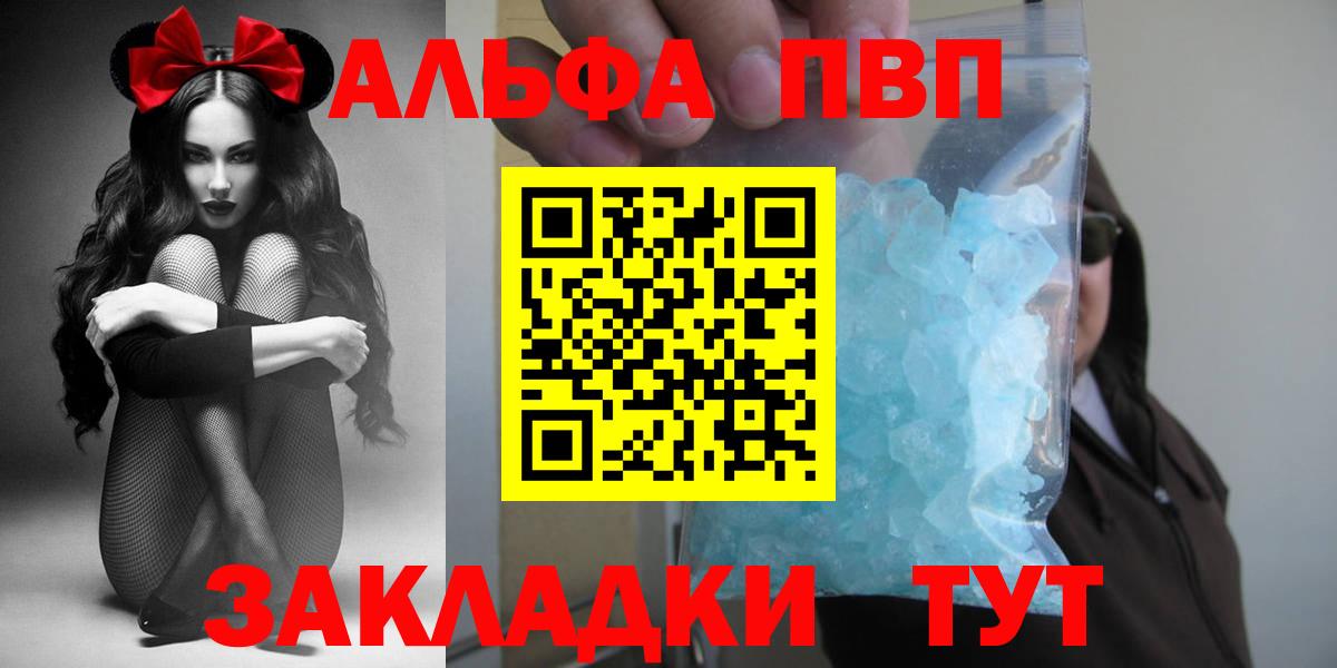 Альфа ПВП СК Великий Новгород