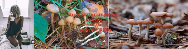 альфа пвп Пестово