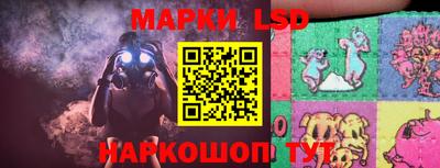 шишки Брянск