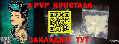 шишки Брянск