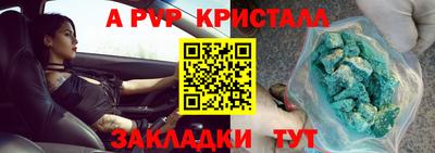шишки Брянск