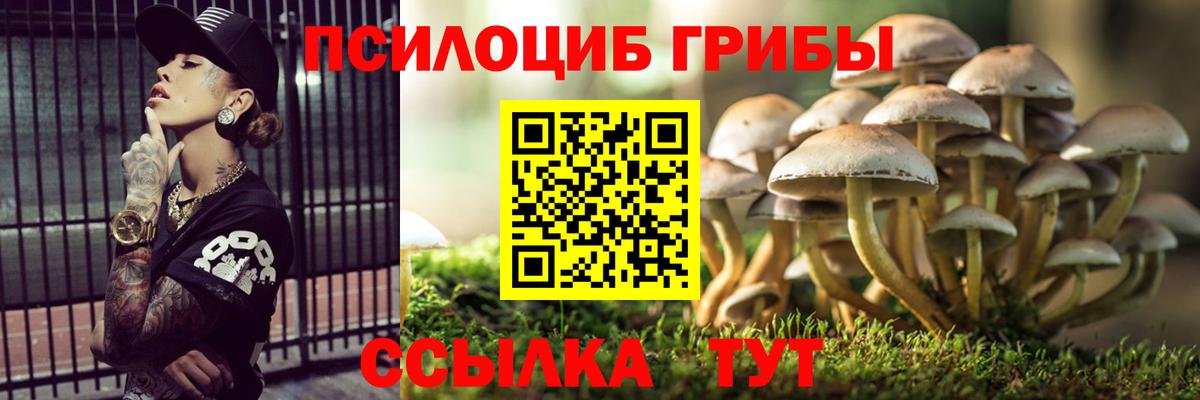 Великий Новгород  как найти наркотики  Вход с VPN  Галлюциногенные грибы мухоморы 